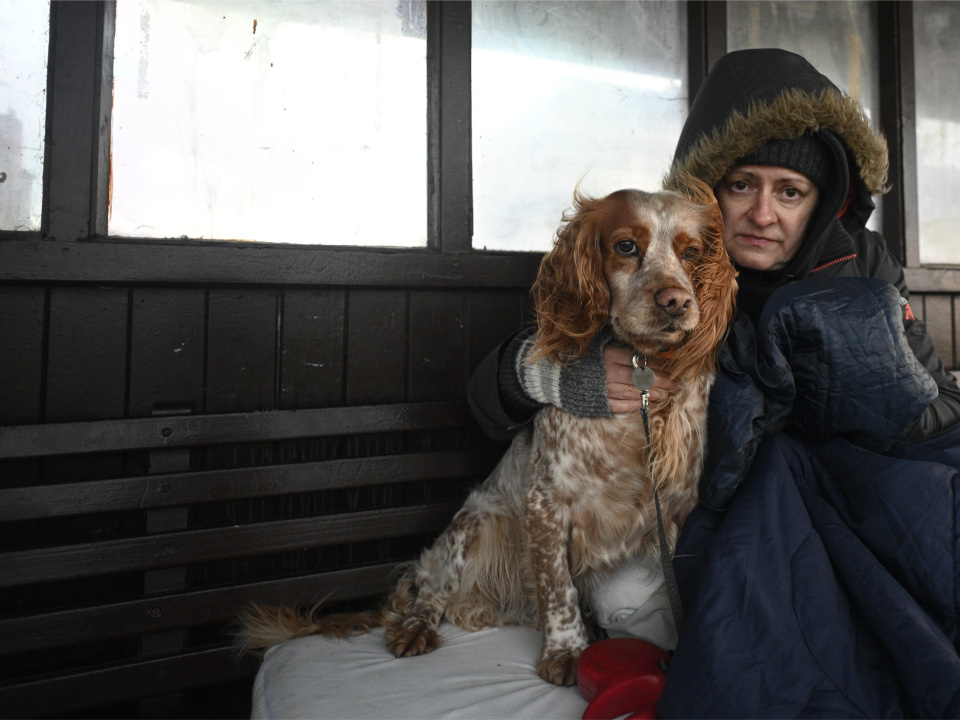 Helen-and-Fudge-Header-image-Christmas-2026-1.png