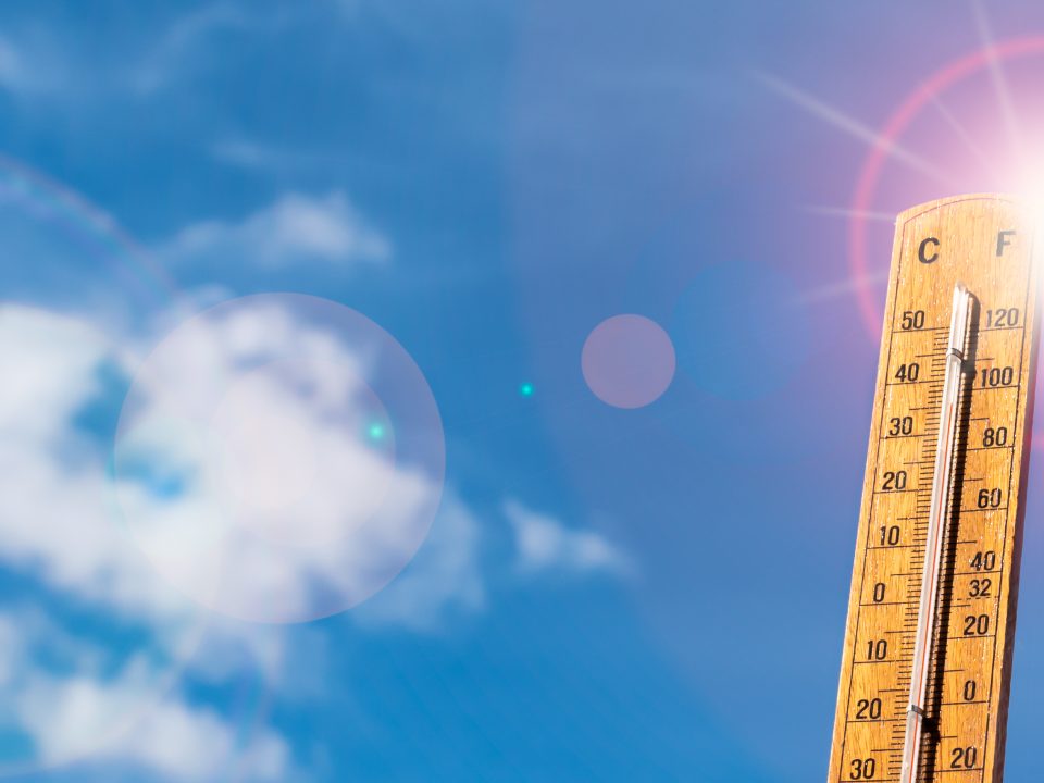 iStock-1257710907.jpg