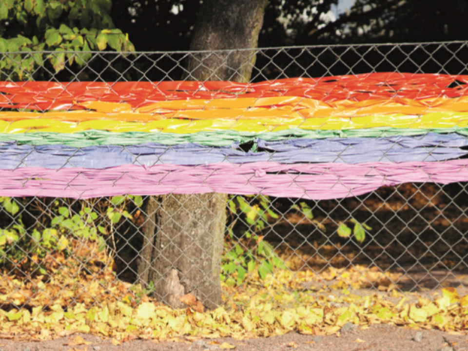 rainbow-fence.PNG